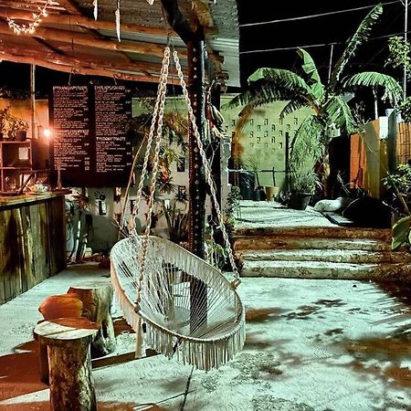 Jungla Bacalar Lägenhet Exteriör bild