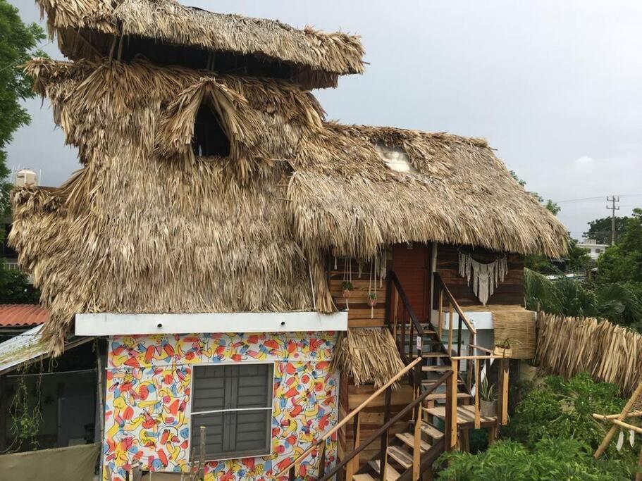 Jungla Bacalar Lägenhet Exteriör bild