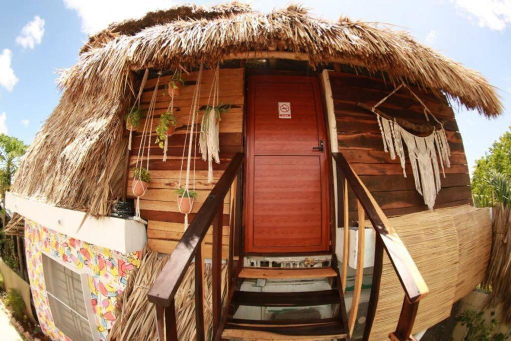 Jungla Bacalar Lägenhet Exteriör bild