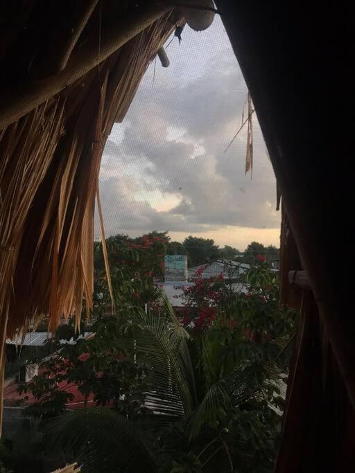 Jungla Bacalar Lägenhet Exteriör bild