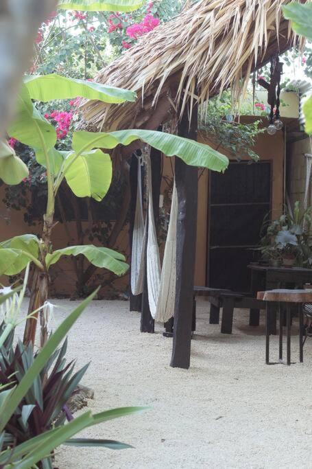 Jungla Bacalar Lägenhet Exteriör bild