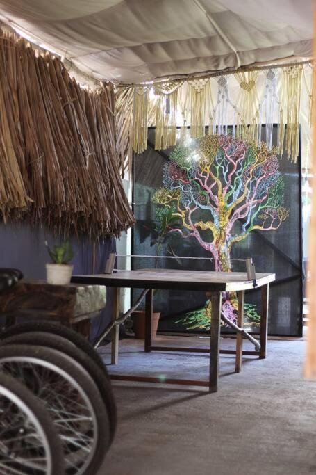 Jungla Bacalar Lägenhet Exteriör bild
