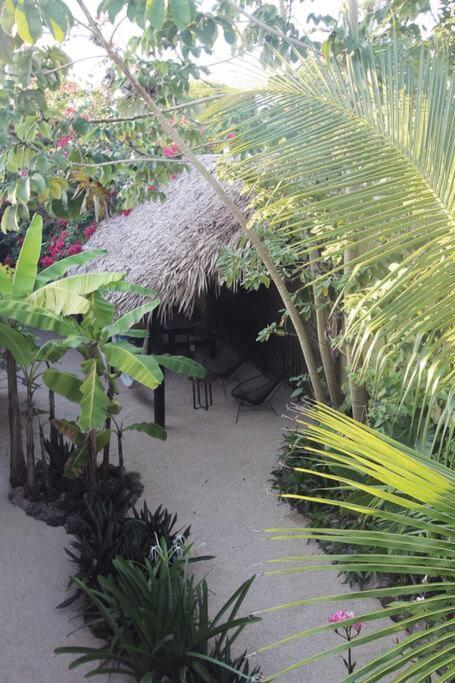 Jungla Bacalar Lägenhet Exteriör bild