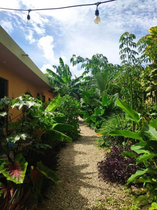 Jungla Bacalar Lägenhet Exteriör bild