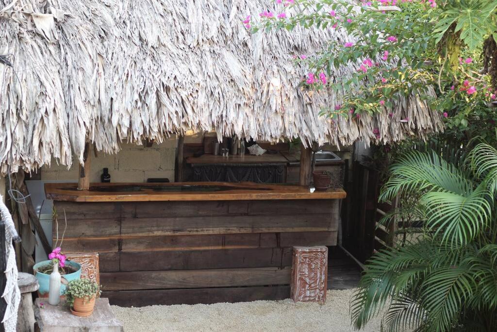 Jungla Bacalar Lägenhet Exteriör bild