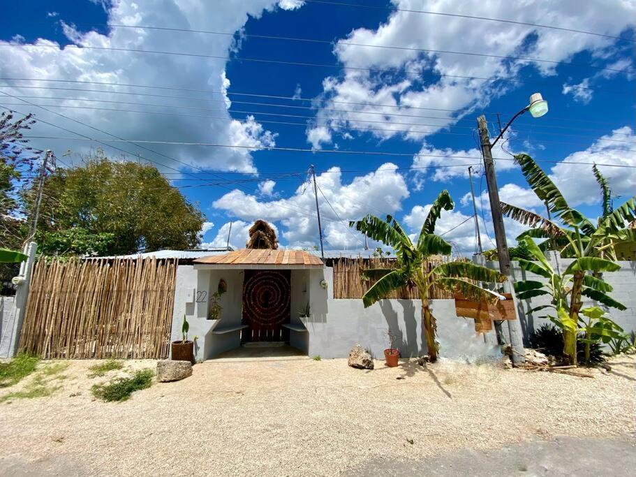 Jungla Bacalar Lägenhet Exteriör bild