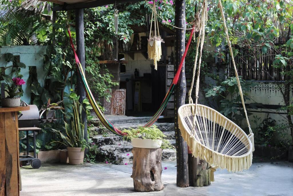 Jungla Bacalar Lägenhet Exteriör bild